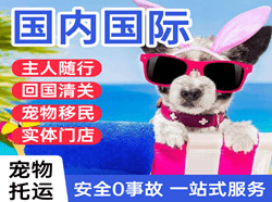 营口航空空运国际宠物托运 【国